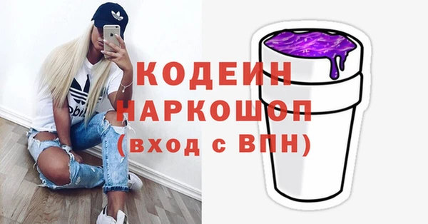 шишки Алексин