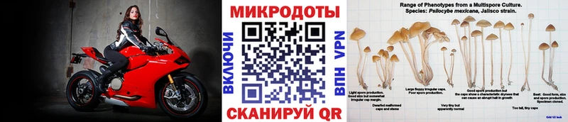 мега   купить  цена  Кирс  Псилоцибиновые грибы Psilocybine cubensis 